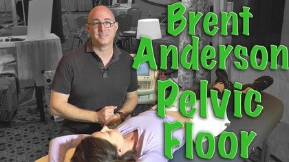 Pelvic Floor Ultrasound<br>Brent Anderson<br>Special 1502