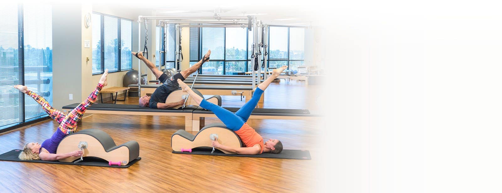 Latest BASI Pilates® Videos Pilates Anytime