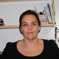 Eugenia B