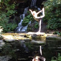 Vertdancer