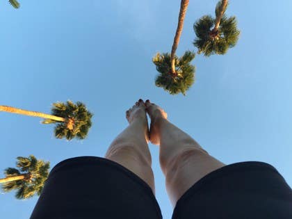 Member Highlight: Terri Battenburg ~ Fair Oaks, California, USA (Blog Archive)
