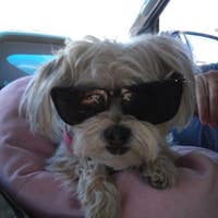 Shirley C