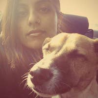 Anisha N