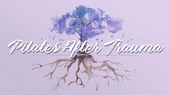 Pilates After Trauma Image