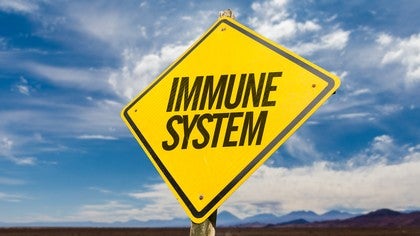 We Are Not Immune: Stress and Autoimmune Conditions