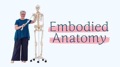 Embodied Anatomy Image
