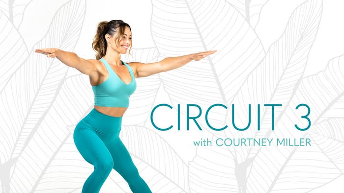 Circuit 3